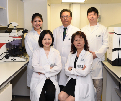 港大醫學院研究團隊合照：梁雪兒教授（前排右）、羅英傑教授（後排中）及甄凱寧教授（前排左）。